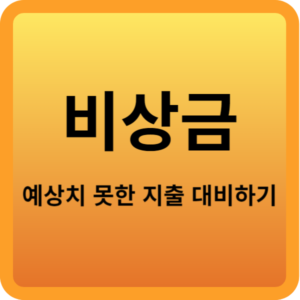 비상금-예상치-못한-지출-대비하기